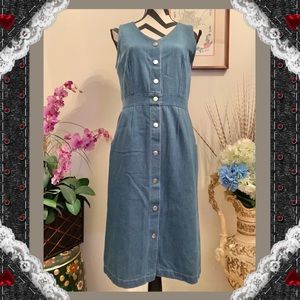 Movint Button Down Denim Dress